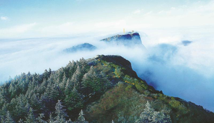 生物多样性保护的中国林草贡献 生物多样性保护的中国林草贡献